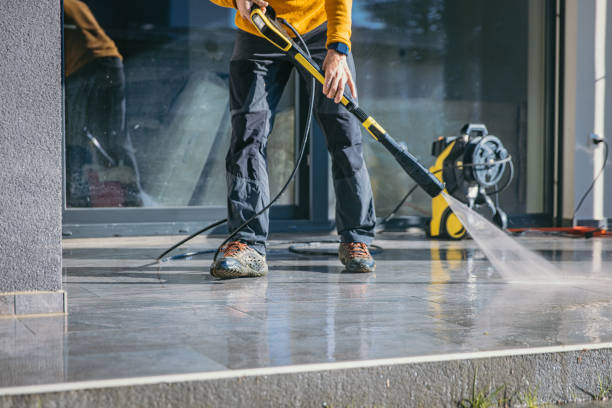 Best Roof Cleaning and Mildew Removal in Georgiana, AL